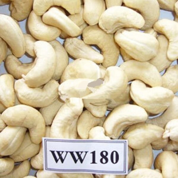 CASHEW NUTS ALL TYPE SP LP W180 W240 W320 NATURAL KERNEL CHEAP PRODUCT MADE IN VIETNAM- CUSTOMIZATION PACKING - Image 3