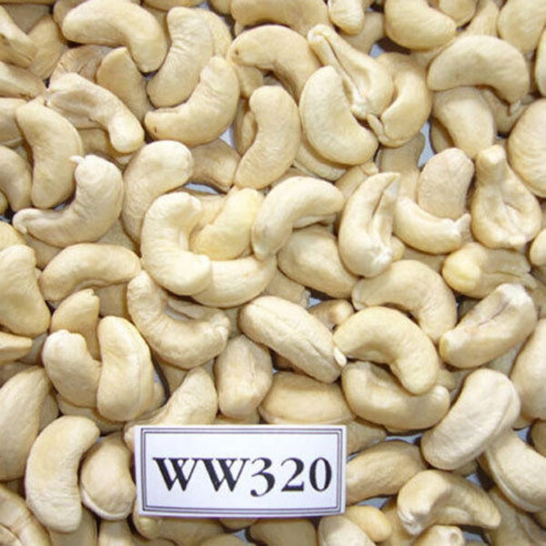 High Quality Good Price Vietnam Cashew Nuts W320 W240 W450 W180 From Vietnam Reputation Exporter - Image 3