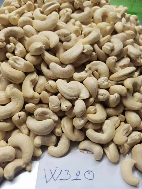 VIETNAM CASHEW NUT - Image 2