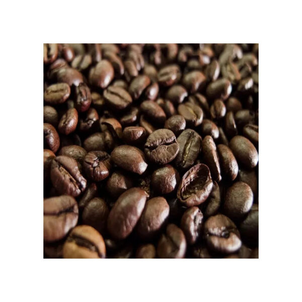 Wholesale Brazilian High Quality Green Beans Coffee With Best Price For Import Good Quality Raw Coffee Beans - Image 3