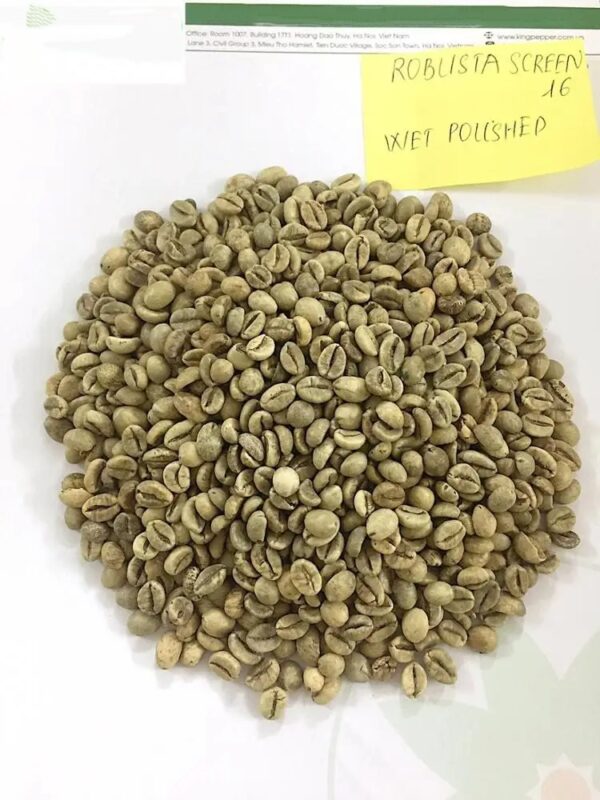 Coffee Green Beans 100% Robusta Sr13/Sr16/Sr18 - Image 3