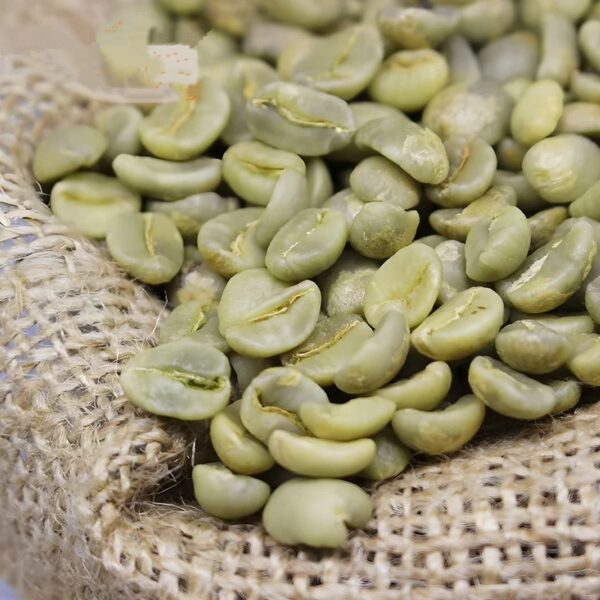 Green Coffee Beans Robusta Wholesale 25 Kg Bags Unprocessed Coffee Bean With Fast Shipments - Image 3