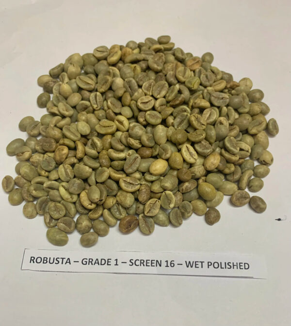 Free sample top quality green beans coffee Robusta/Arabica Green Coffee Beans from Reliable Vietnam Supplier - Image 3