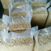 Premium W320 Grade Cashew Nuts white cashew salted roasted cashews butter roasted cashews broken cashews - Image 4