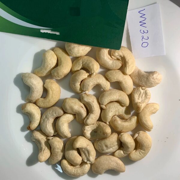 Hot Selling Premium Dried Cashew Nuts W320 W240 Dry Fruits Wholesale Made In Vietnam - Image 4