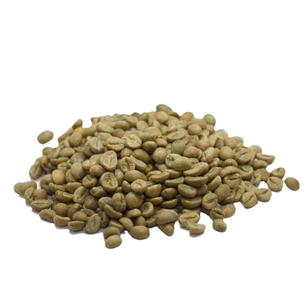 Hot Selling Robusta Green Coffee Beans Vietnam Origin High Quality Reasonable Price - Image 4