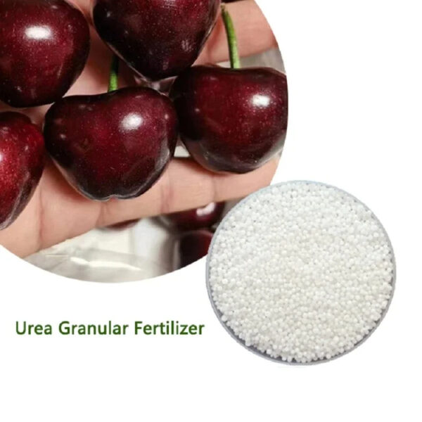 Agriculture Nitrogen Fertilizer Urea 46 Prilled Granular 46-0-0/Urea 46% CH4N2O Urea Fertilizer Urea - Image 5