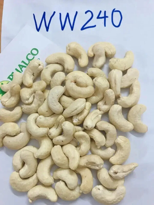 VIETNAM CASHEW NUT WW320 WW240 LOWEST RATE Bag Style Packaging Cooking Raw Origin Vacuum Type Dried Grade ISO Place Model SPICES - Image 5