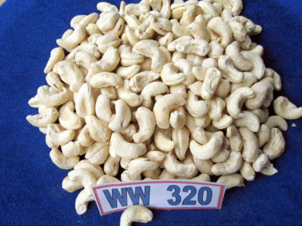 USDA/EU ORGANIC WHOLE WHITE CASHEW NUT KERNELS CASHEWNOTTER W240 HIGH QUALITY LOW PRICE BRC 2024 FACTORY - Image 3