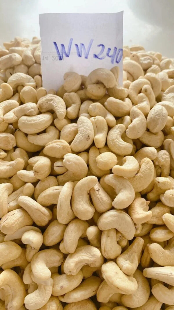 Wholesale High Quality Vietnamese Roasted Salted Cashew Nuts All Sizes Best Price vacuum bag Packaging - Image 5