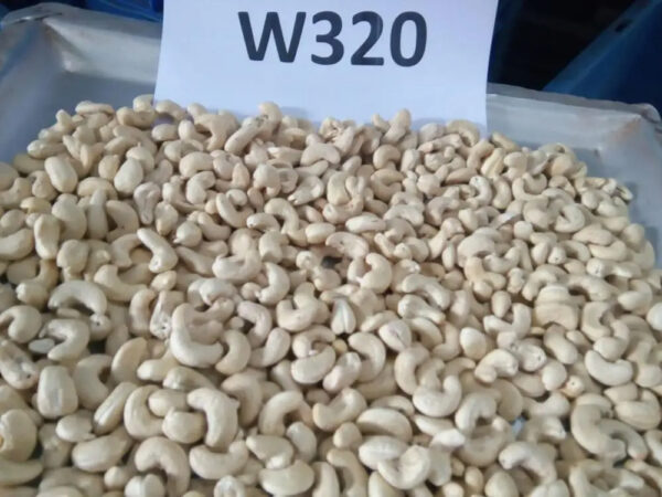 Wholesales Price Organic Cashews Raw Nuts To Make Cashew Nuts