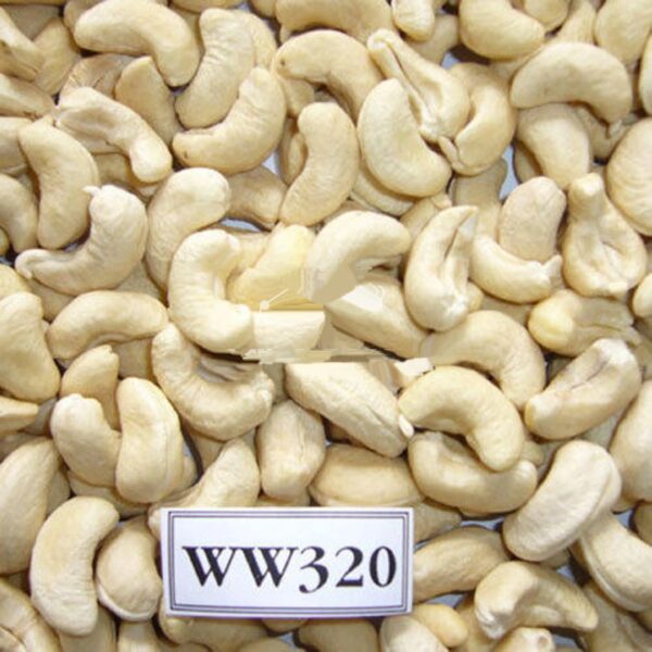 CASHEW NUTS ALL TYPE SP LP W180 W240 W320 NATURAL KERNEL CHEAP PRODUCT MADE IN VIETNAM- CUSTOMIZATION PACKING - Image 5