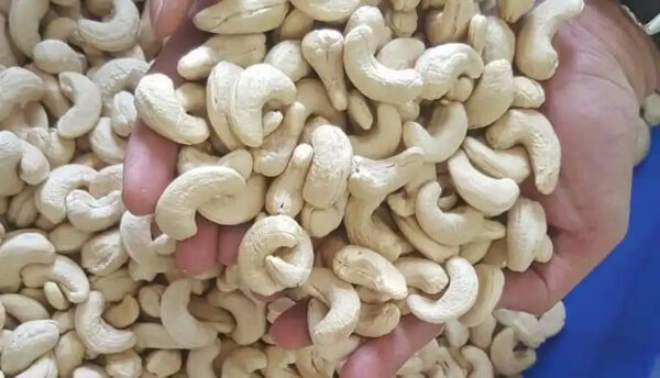 High Quality Raw Cashew Nuts W320 With Good Price And All Size Raw Cashew Kernel Nuts Whole sale 2024 - Image 5