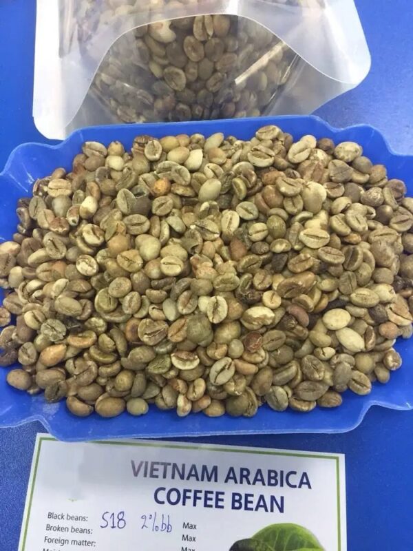 Coffee Green Beans 100% Robusta Sr13/Sr16/Sr18 - Image 5