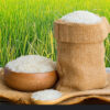 Hot Selling Best Price Long Grain Jasmine Rice 5% Broken From USA Supplier Wholesale OEM 100% Top Exporter 50kg 25kg bag - Image 5