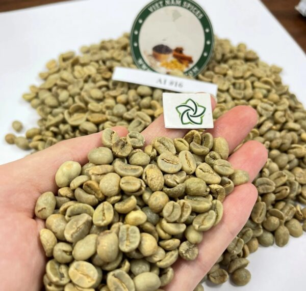 Hot Selling Robusta Green Coffee Beans Vietnam Origin High Quality Reasonable Price - Image 5