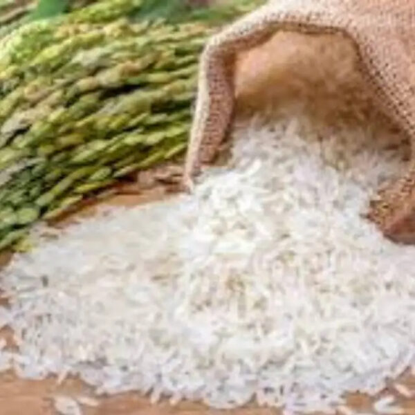 Jasmine Rice For Sale / Long Grain Rice Thailand Price Jasmine Rice - Image 6