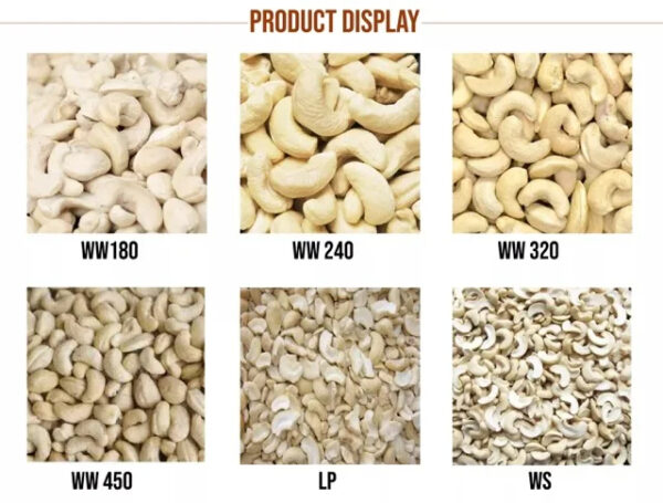 Premium Quality 100% Vietnam cashew nuts origin cashew nut kernels broken cashew nut healthy snack cashew nut w240|w320 - Image 6