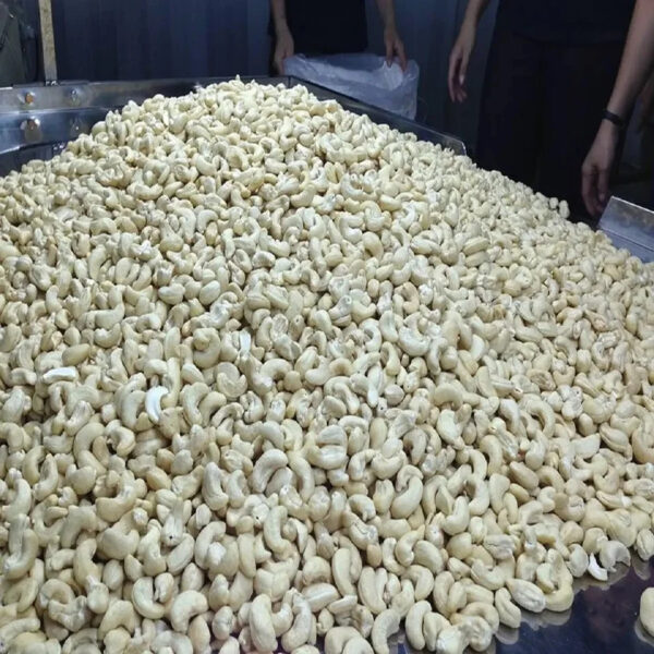 Top Grade Wholesale Dried White Cashew Nuts Vietnamese Roasted Cashew Nuts Good Quality Organic Raw Cashew Nuts For Sales - Image 6