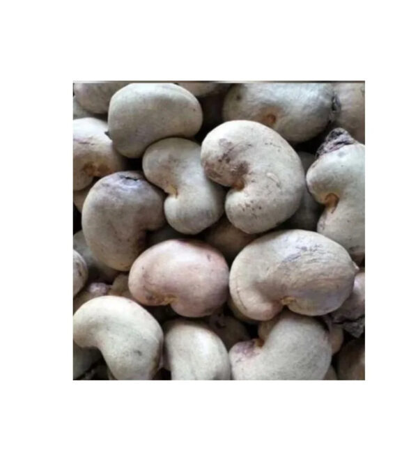 Cashew Nuts Raw With Shell W180 Fast Delivery OEM/ODM Packaging Vacuum Beal bags Good Price - Image 6