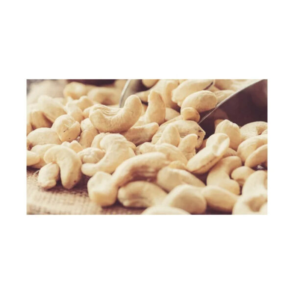 CASHEW NUT WW180 210 240 320 450 / Premium Cashew - Image 6