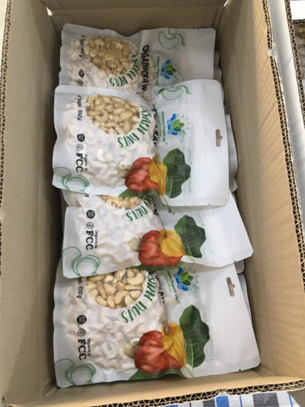 RELIABLE MANUFACTURER AND EXPORTER High quality Cashew Nuts/Cashew Kernels with full export certifications - Image 6