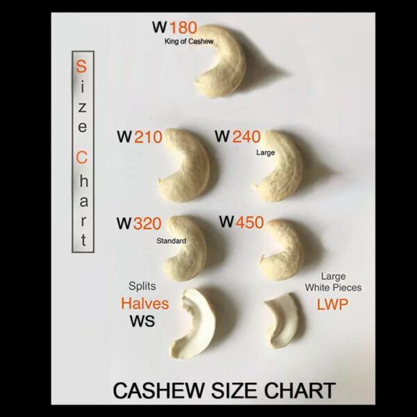 Specialty Viet Nam White Cashew Nut High quality Wholesale price W320 Fresh delicious Cheap price at factory Ready to export - Image 6