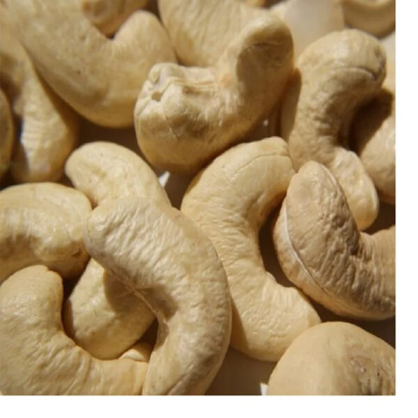 Processed Cashew Nuts - Raw Cashew Nuts - Wholesale Roasted Cashew Nuts - Image 6