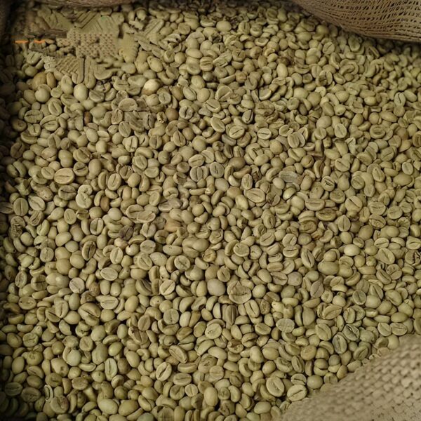 Green Coffee Beans Robusta Wholesale 25 Kg Bags Unprocessed Coffee Bean With Fast Shipments - Image 6