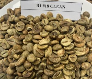 Hot Selling Robusta Green Coffee Beans Vietnam Origin High Quality Reasonable Price