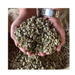 High quality Green Arabica coffee beans S18 from highlands Cau Dat Da Lat Vietnam Raw coffee processing semi washed for sale