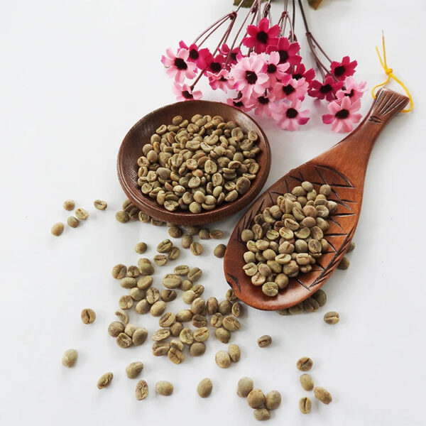 Yunnan green coffee beans Arabica coffee bean for sale