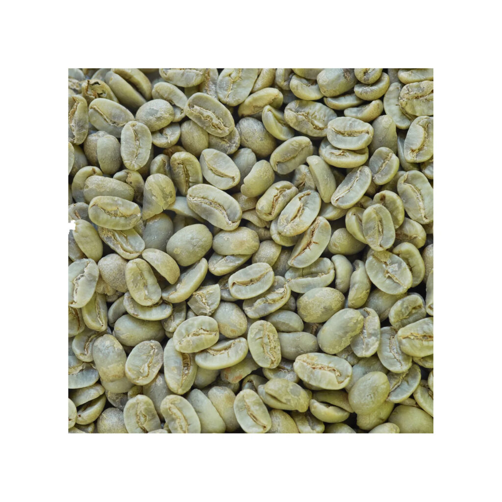 Superior Arabica Coffee Beans Washed Process Green Coffee Beans for Sale