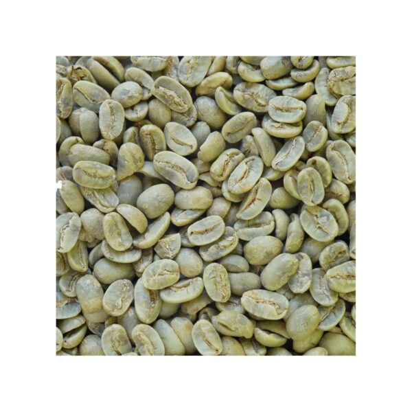 Superior Arabica Coffee Beans Washed Process Green Coffee Beans for Sale