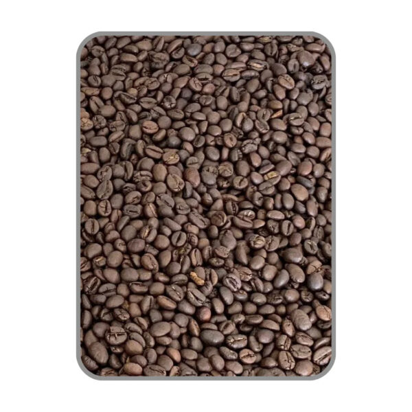 Roasted Arabica Fast Delivery Green Beans Customized Packaging Raw Coffee from Vietnam Manufacturer