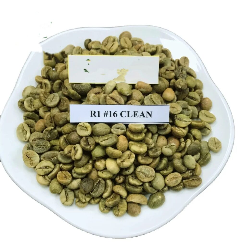 Beans Coffee Beans Green Coffee Beans Robusta Grade 1 Screen 16 Wholesale Price Best Quality Vietnam Origin Coffee