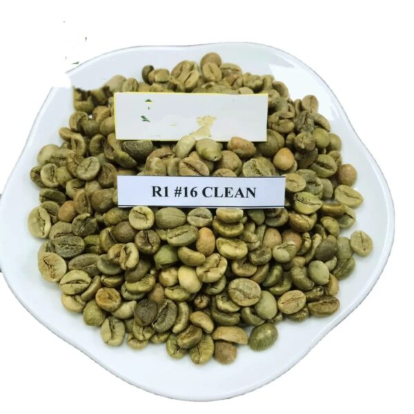 Beans Coffee Beans Green Coffee Beans Robusta Grade 1 Screen 16 Wholesale Price Best Quality Vietnam Origin Coffee