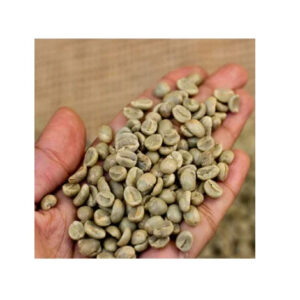 Hot Seller - Vietnam Robusta Green Coffee Beans - High Quality Robusta Coffee Sr13/Sr16/Sr18