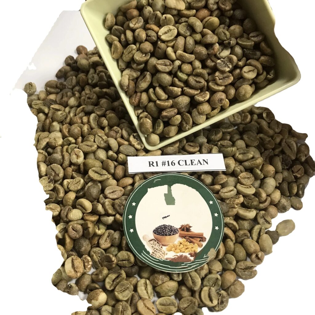 Coffee products green coffee beans robusta common beans robusta green coffee Screen 14/16/18
