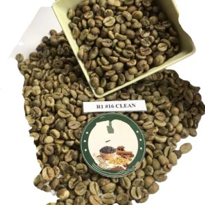 Coffee products green coffee beans robusta common beans robusta green coffee Screen 14/16/18