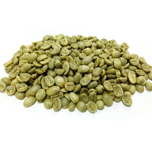 Best Price Robusta Coffee Green Beans Vietnam Coffee Full washed SCR18 Grade 1