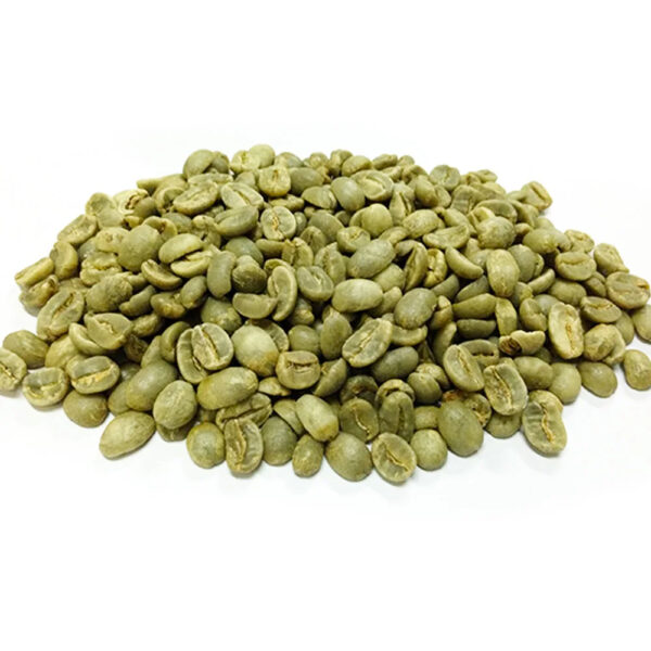 Best Price Robusta Coffee Green Beans Vietnam Coffee Full washed SCR18 Grade 1