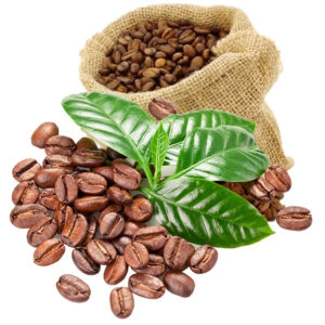 High Standard 100% Pure Arabica Coffee 25kg Medium Roasted Chocolate Accept OEM