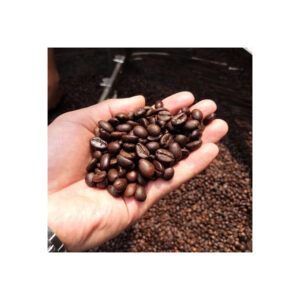 Coffee Beans Arabica Specialty Coffee From Family Farming Made in Vietnam Coffee Beans in 30 kg Bags
