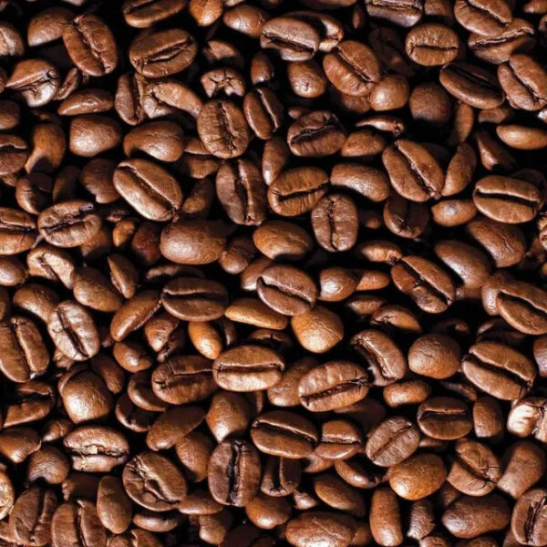 Whole sale Price Arabica Roasted Coffee Bean Supplier For Sale - Image 2