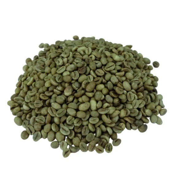 Robusta & Arabica Coffee beans High quality 100% for sale - Image 2