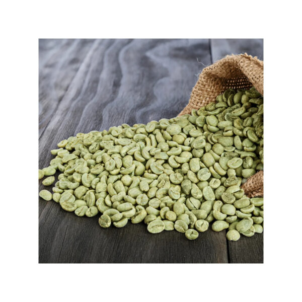 Superior Arabica Coffee Beans Washed Process Green Coffee Beans for Sale - Image 2