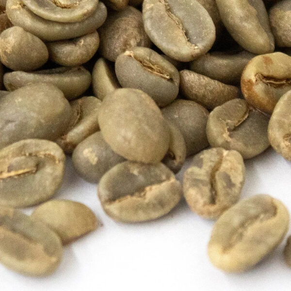 Superior Arabica Coffee Beans Washed Process Green Coffee Beans for Sale Green Coffee Bean - Image 2