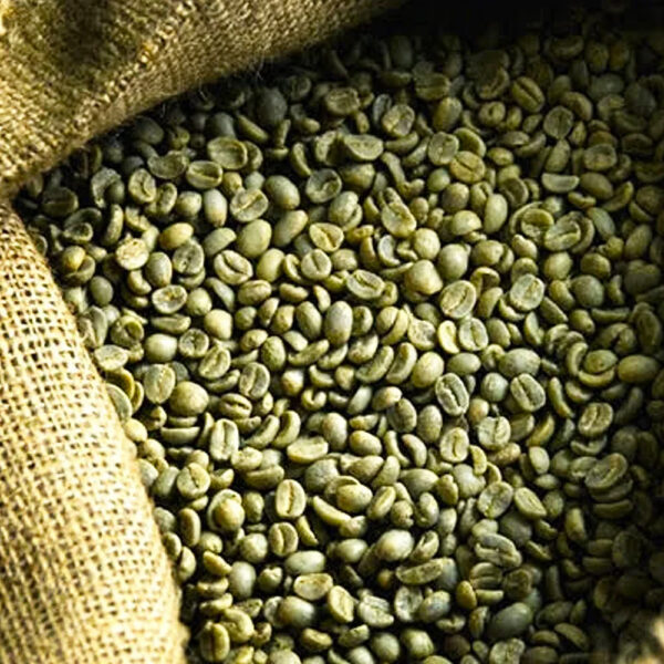 Best Price Robusta Coffee Green Beans Vietnam Coffee Full washed SCR18 Grade 1 - Image 2