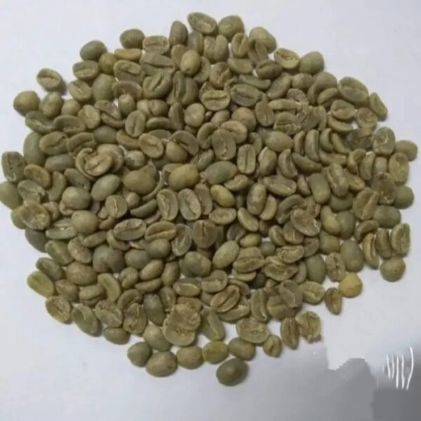 High Quality Specialty Ground Wholesale 100% Arabica Variety Green Coffee Beans Coffee From Peru In Bulk - Image 2